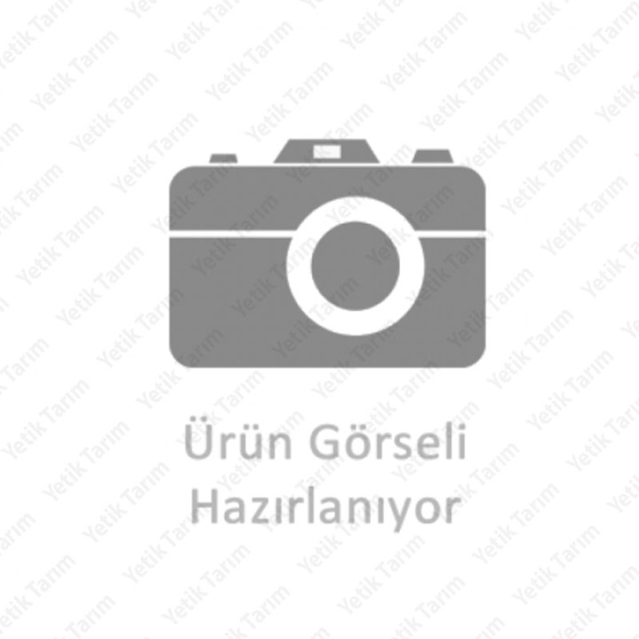 Çizel Dragon Kanat Sağ